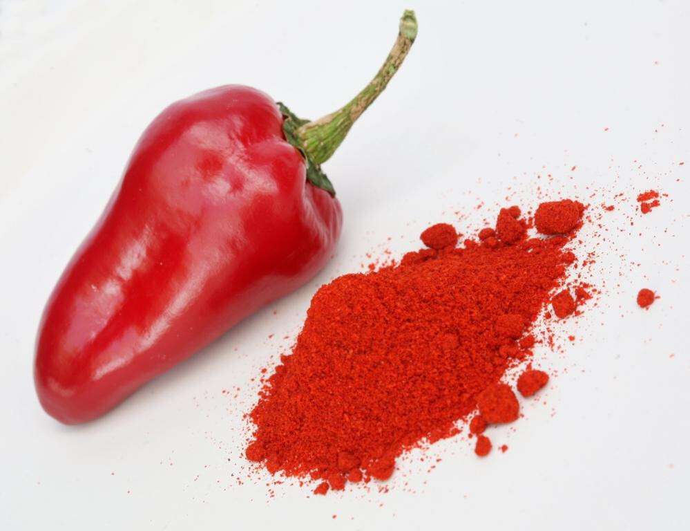 Pimiento pimentón (Foto Gobierno Baleares)
