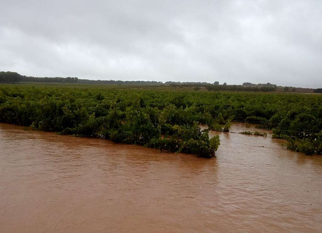 Daños 1 gota fría sept 2019 (Foto La Unió)