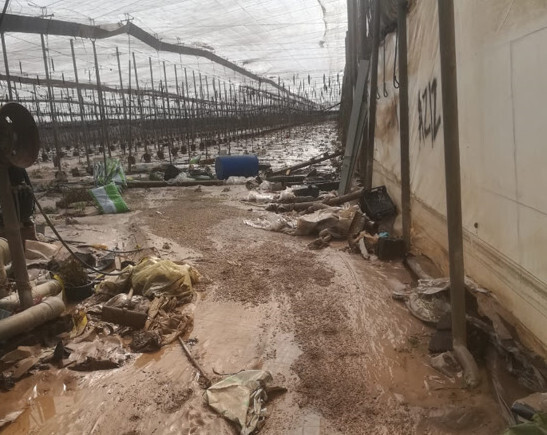 Invernadero Inundado gota fría sept 2019 Almería (Foto UPA)
