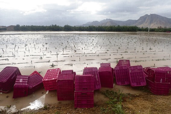 Campo inundado gota fría sept 2019 (Foto Ayto Daya Vieja FB)