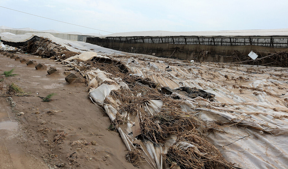 Destrozos DANA gota fría sept 2019 (Foto Junta de Andalucía)