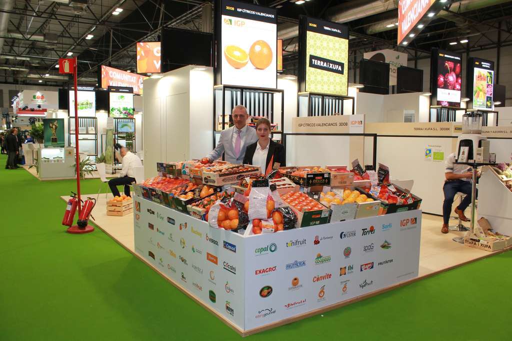 IGP CITRICOS VALENCIANOS