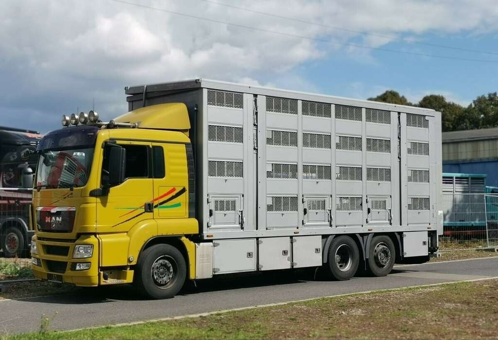 101762 20191028TransporteGanado