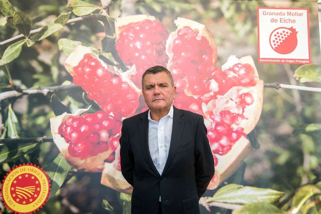 Francisco oliva pte granada mollar (foto agrodiario)