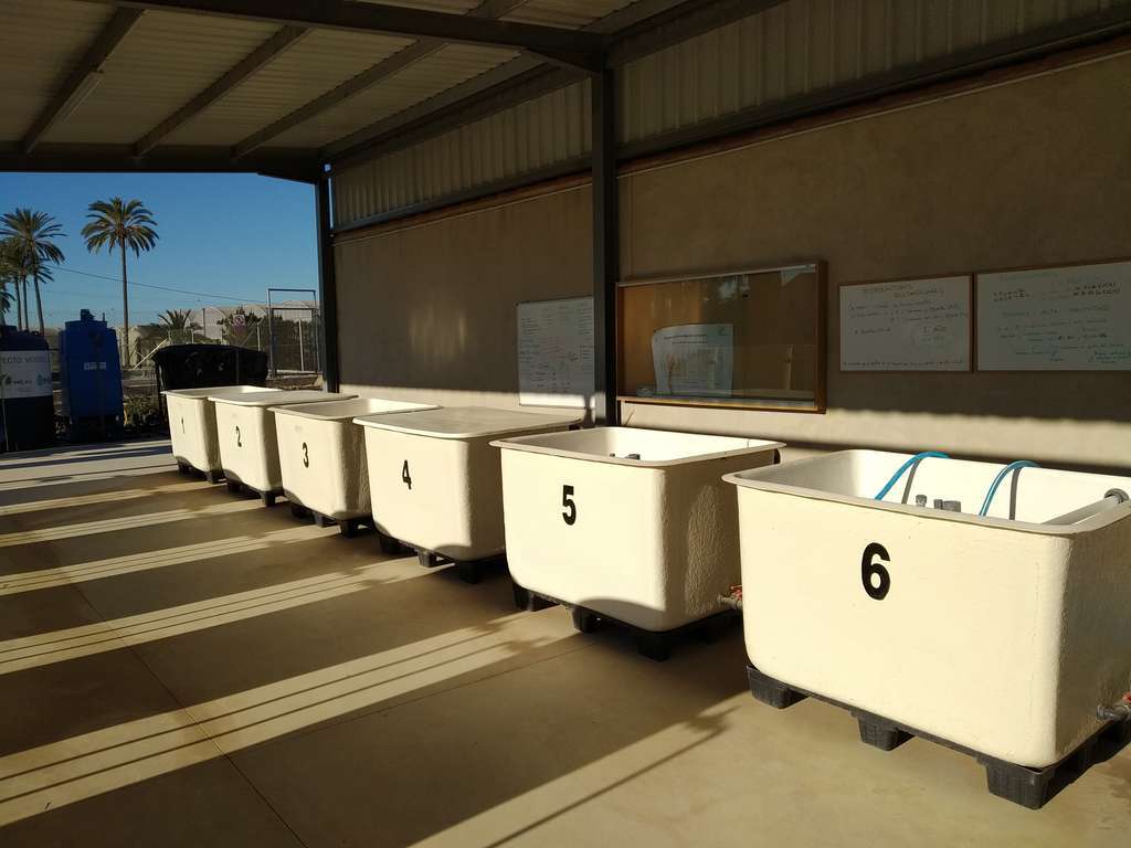 Biorreactores 2 Catedra Agricultura (Foto Catedra Agricultura UPCT)