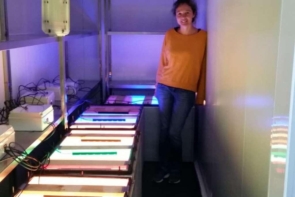 Investigadora cultivos (foto upct)