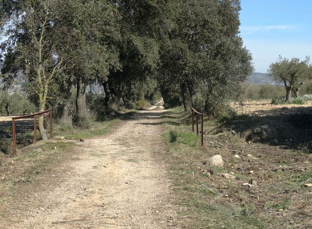 Via verde chicharra (foto turismoyecla)