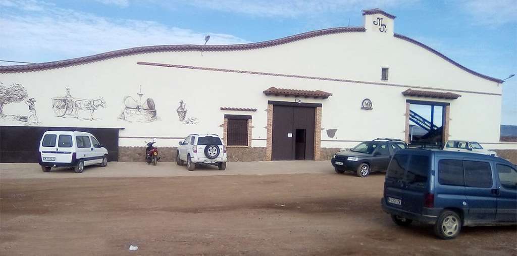 Mundioliva (foto interoleo)