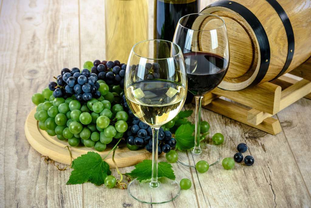 Copasvino tcm30 523619