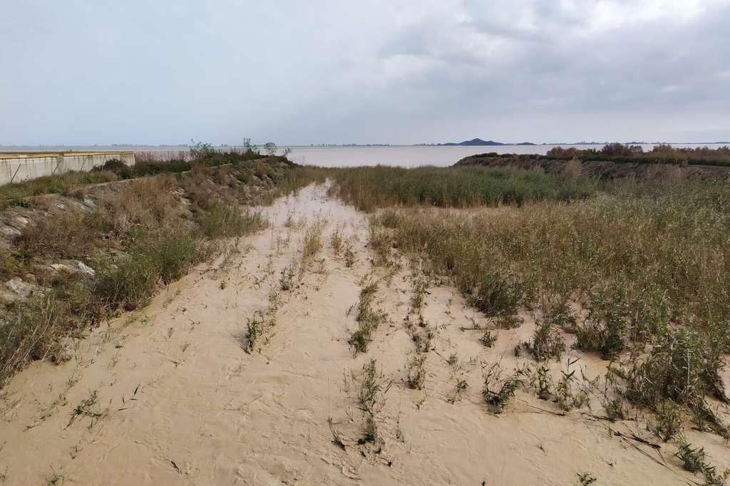 Rambla al Mar Menor Borrasca Gloria (Foto Ayto Cartagena)