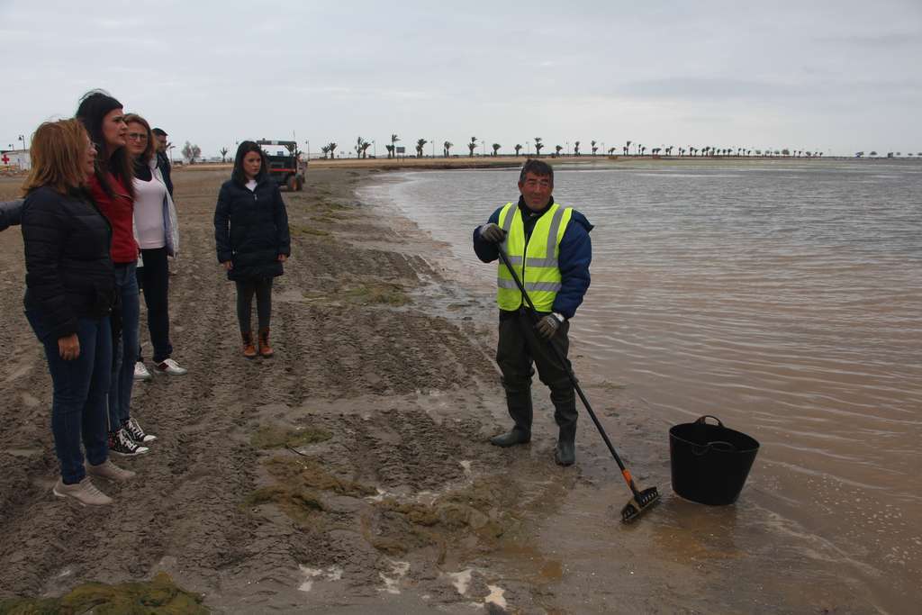 Retirada de algas en San Pedro del Pinatar. (foto CARM)