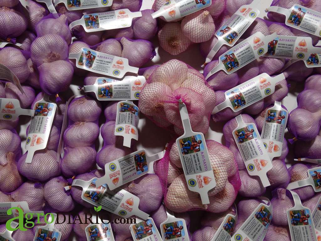 Producto Ajos FL2020 (Foto C. Guardia)