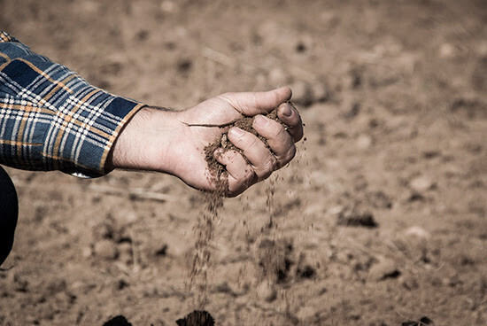 Estudio Mosex suelos mano campo cultivo (Foto UPA)