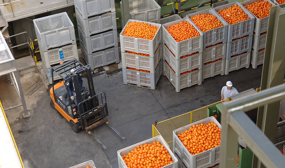 Almacén naranjas carretilla (Foto Junta de Andalucía)