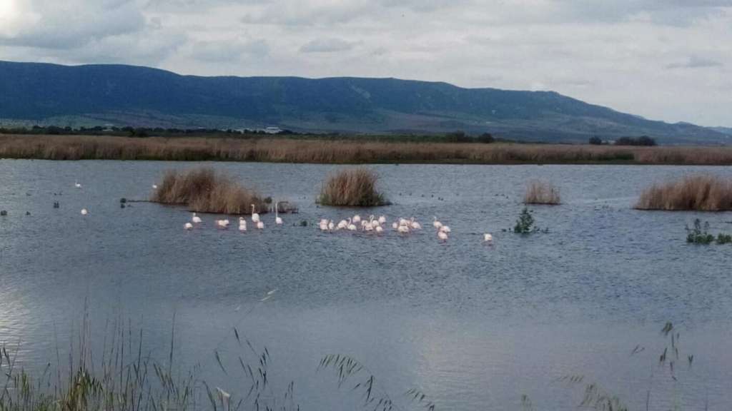 Tablas de Daimiel (Foto Gobierno de CLM)