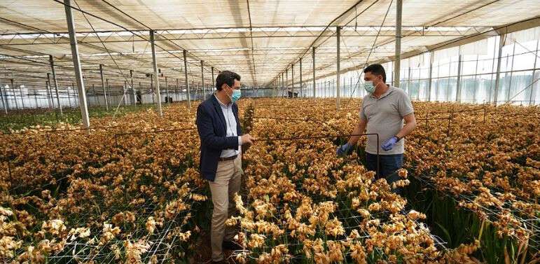 JMMB Vivero flores Chipiona (Foto junta de Andalucu00eda)