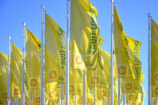 Fruit Logistica Banderas (Foto FL2020)