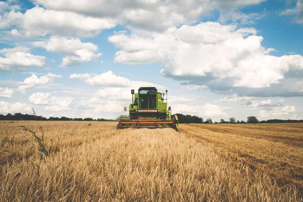 Campo tractor