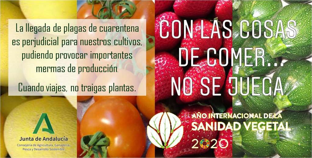 Campau00f1a conlascosas