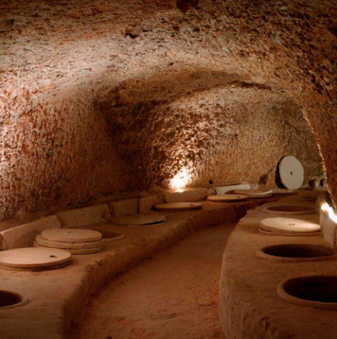 Proyecto Tinajas Vino (Foto Govalmavin UMH)