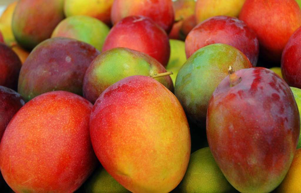 Mangos (Foto Junta de Andalucía)