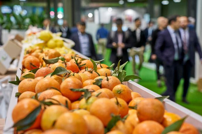 Mandarinas stand Fruit Attraction (Foto Fruit Attraction)