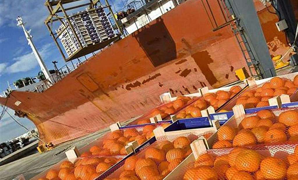 Importación naranjas
