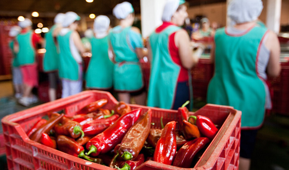 Trabajadoras planta de transformación pimientos industria mujer (Foto Junta de Andalucía)