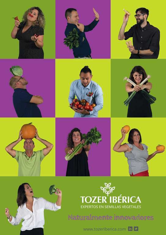 TozerIberica Campau00f1a Medios page 0001 (1)