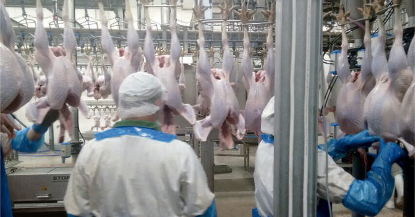 Matadero aves (Foto UGT Fica)