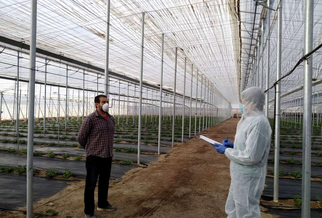 AGROCOLOR