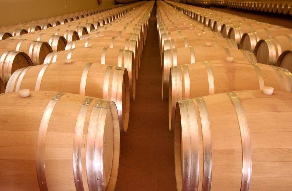 Bodega toneles (Foto Generalitat valenciana)
