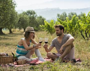 Rutas del Vino turismo viñedo (Foto Acevín)