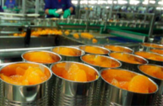 Conserva mandarina Foto Agriconsaweb belrtk