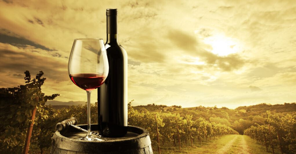 Vino tinto barril paisaje enoturismo (Foto FEV)