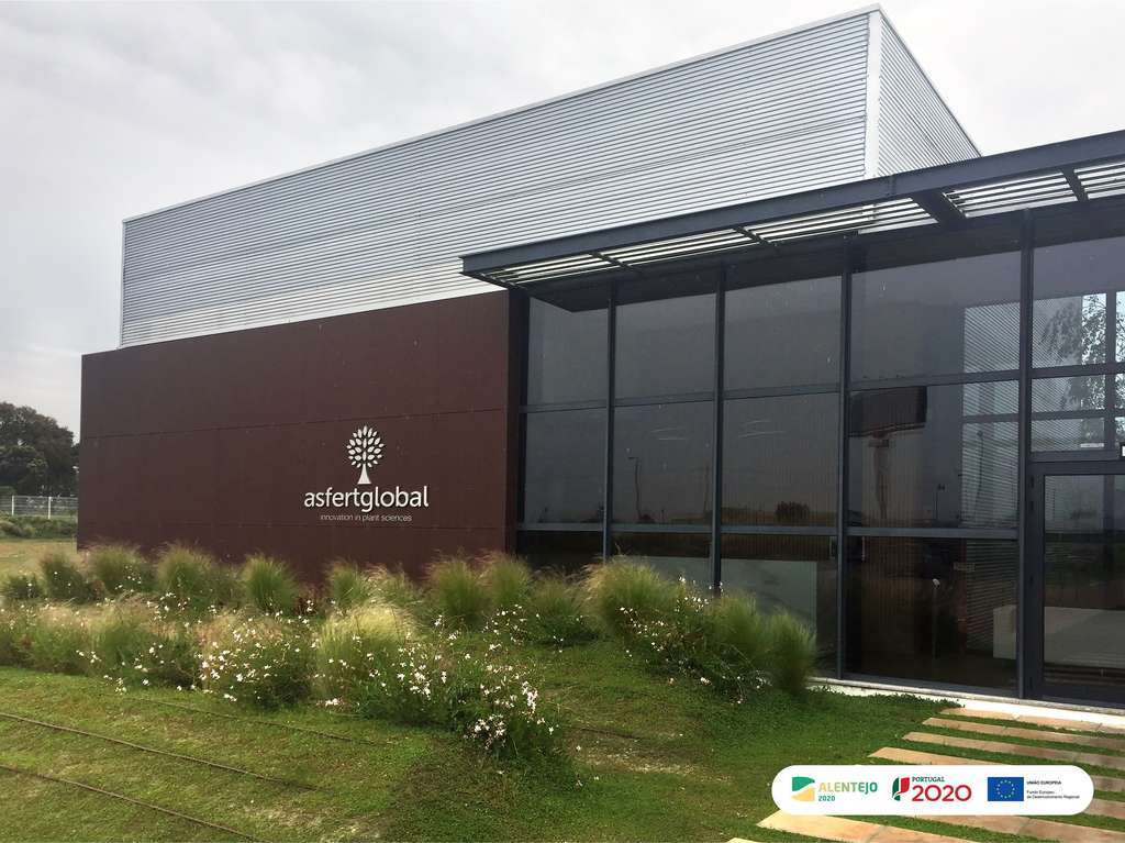 Asfertglobal Office with logo