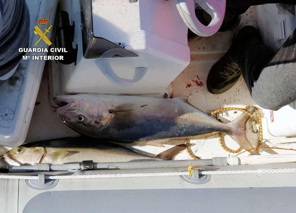 20201028 PESCA FURTIVA CABO TIu00d1OSO 02