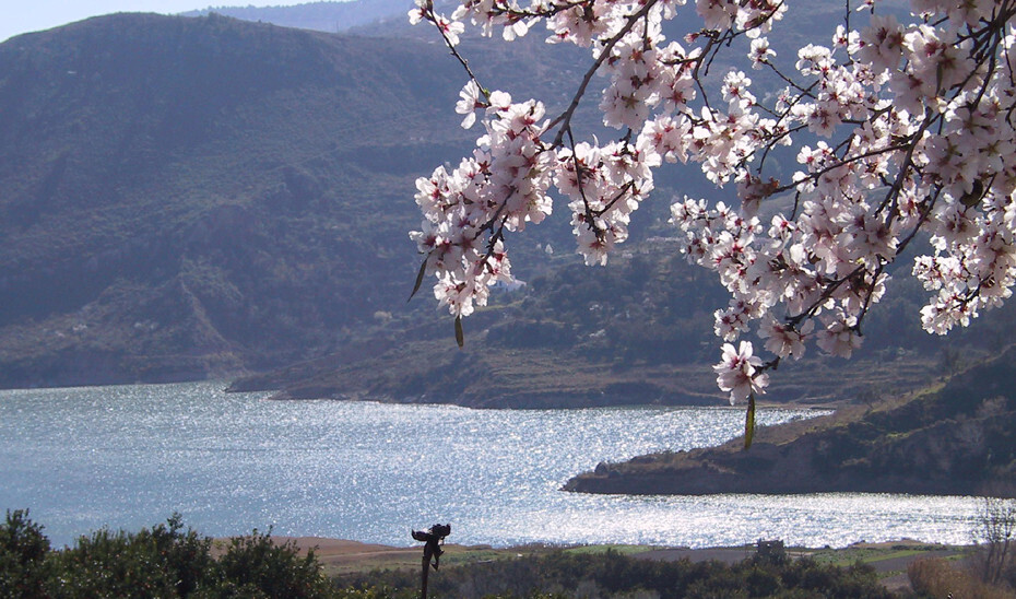 Desarrollo Rural (Foto Junta de Andalucu00eda)