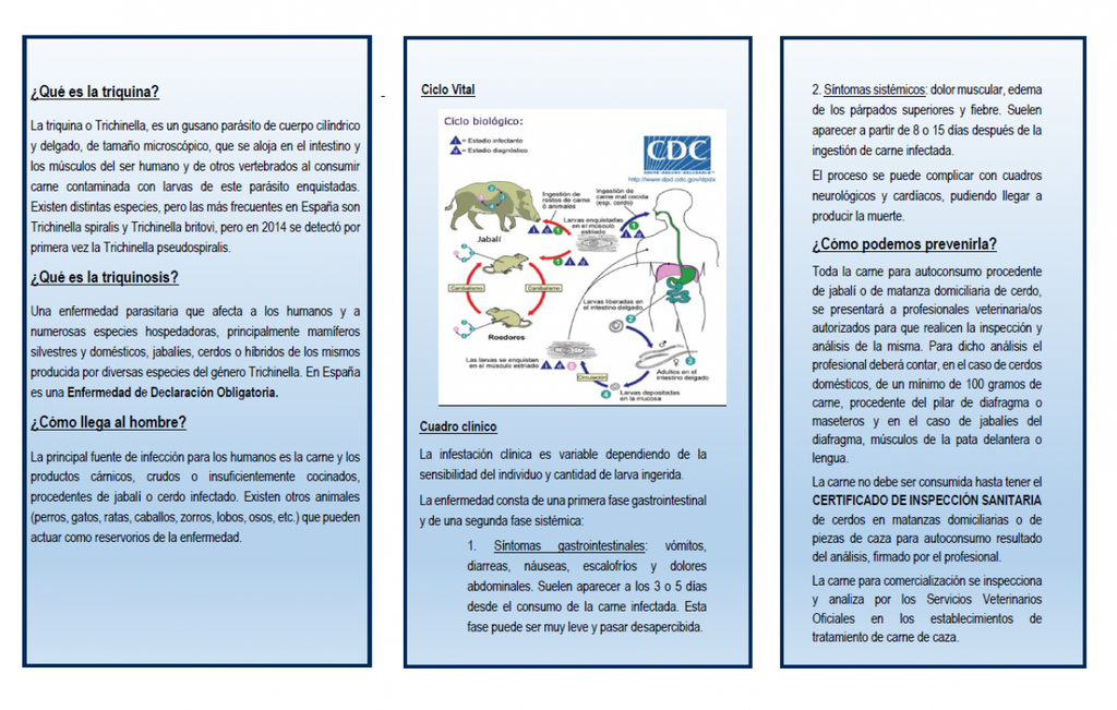 Tru00edptico prevenciu00f3n triquinosis (Foto Gobierno CLM)