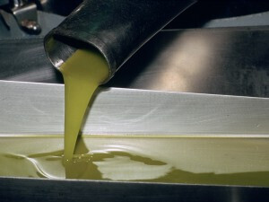 Aceite de oliva almazara (Foto Cooperativas AgroAlimentarias)