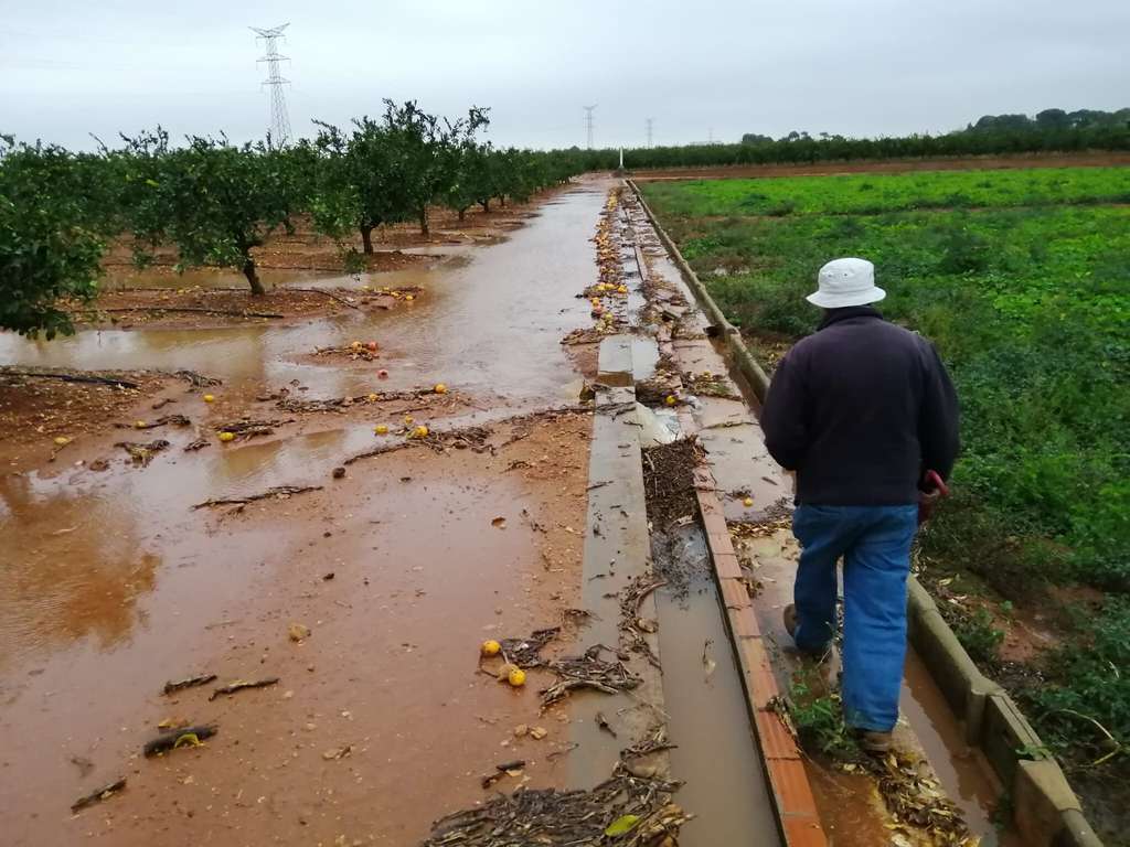 Pedregada granizo pedrisco (Foto La Unió)