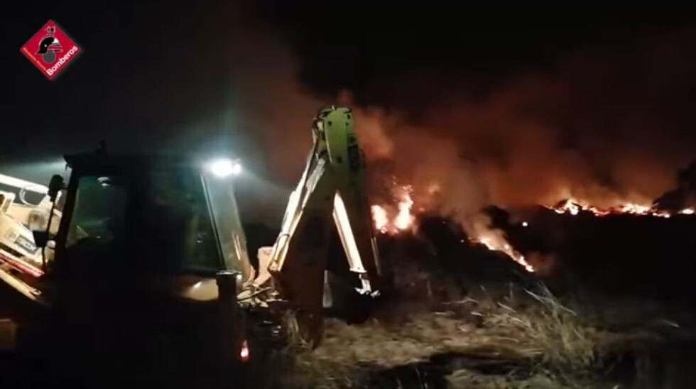 Incendio palmeras viveros (Foto Bomberos Diputaciu00f3n Alicante)