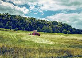 Campo rural