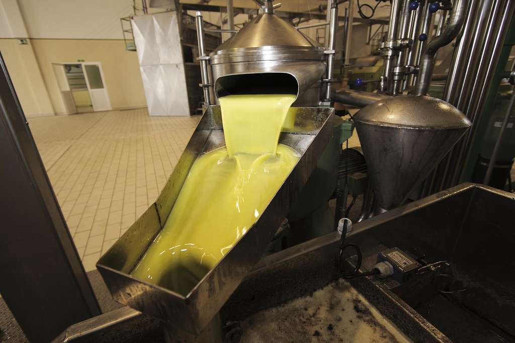 Aceite 1