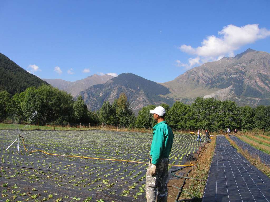 Campo cultivo agricultor riego (Foto MAPA)