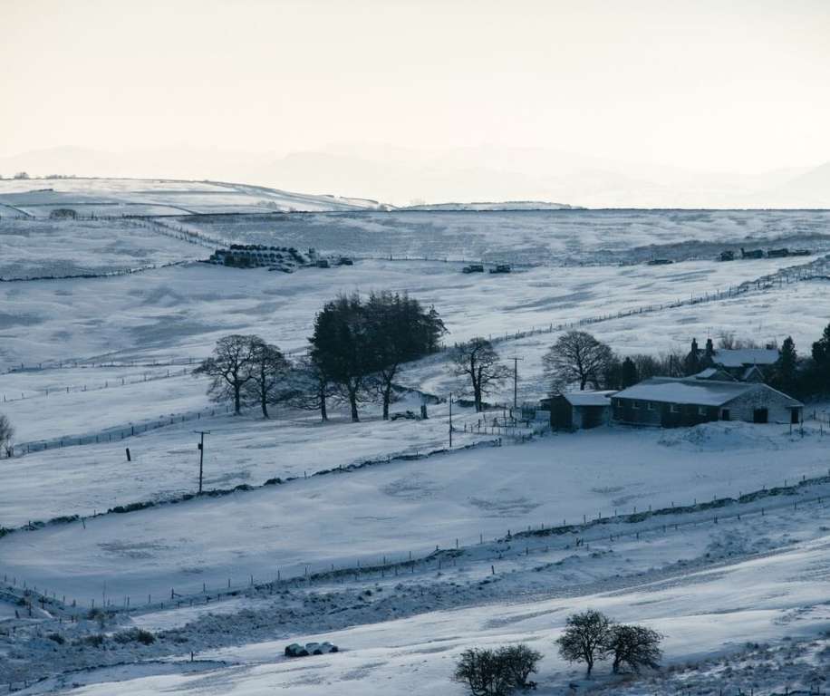 Nevada Filomena (Foto Agroseguro)