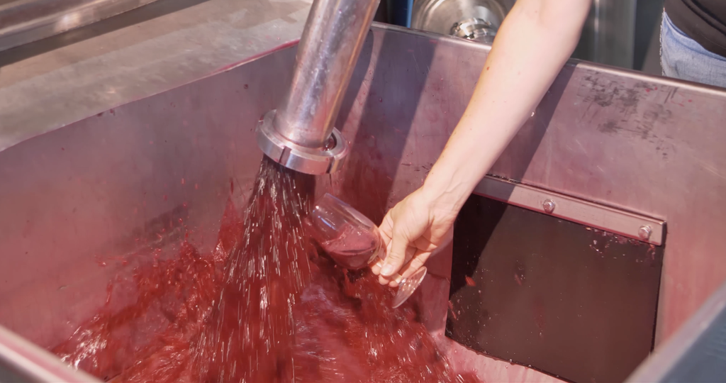 Bodega vino copa vendimia (Foto DOP Jumilla)