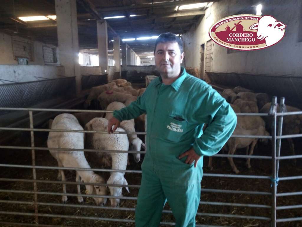 Pedro Duran IGP cordero manchego