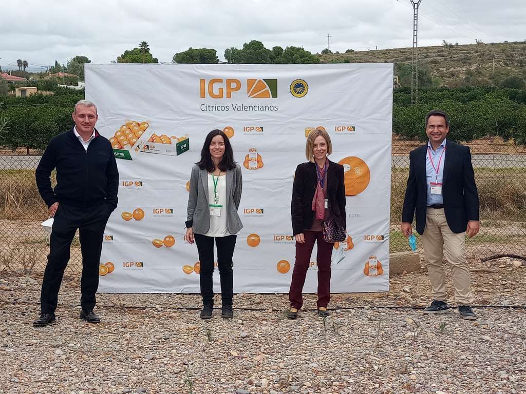 Equipo de IGP Cu00edtricos Valencianos 2020 2021 (003)