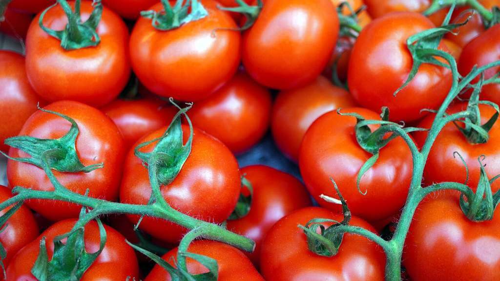Tomates (Foto de Matthias Böckel en Pxb)
